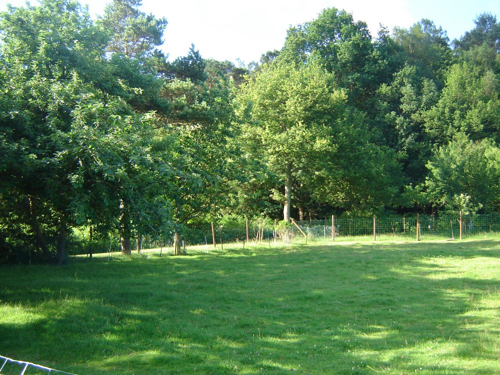 Aire camping-car  Malansac (56220) - Photo 2
